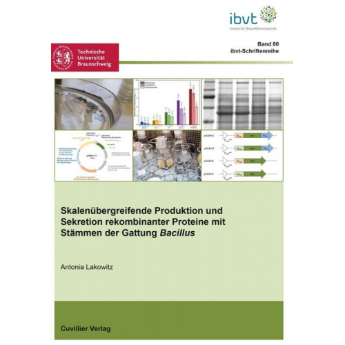 Antonia Lakowitz - Skalenübergreifende Produktion und Sekretion rekombinanter Proteine mit Stämmen der Gattung Bacillus