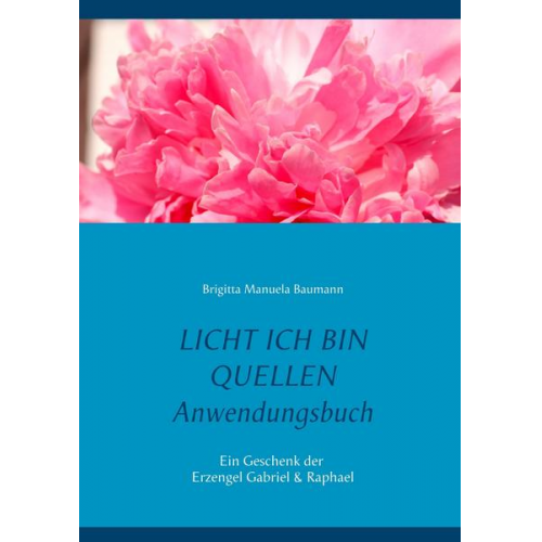 Brigitta Manuela Baumann - Licht ich bin Quellen - Das Anwendungsbuch