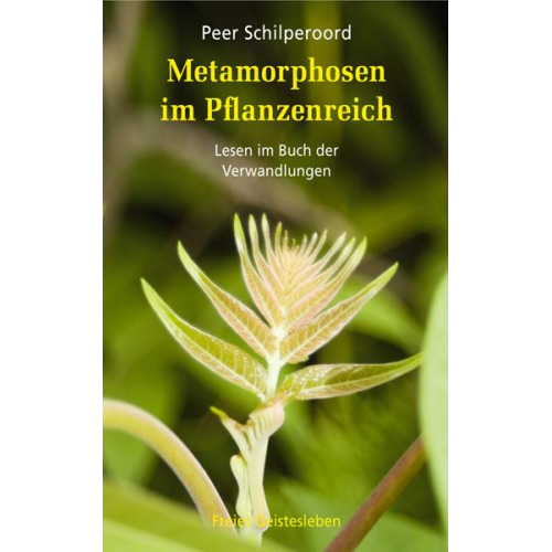 Peer Schilperoord - Metamorphosen im Pflanzenreich