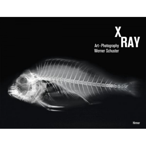 Werner Schuster - X-Ray