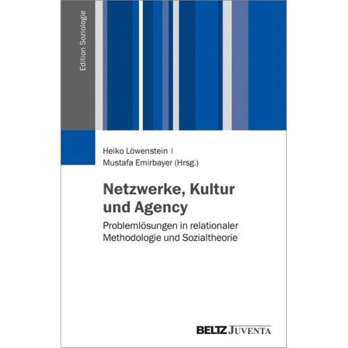 Netzwerke, Kultur und Agency