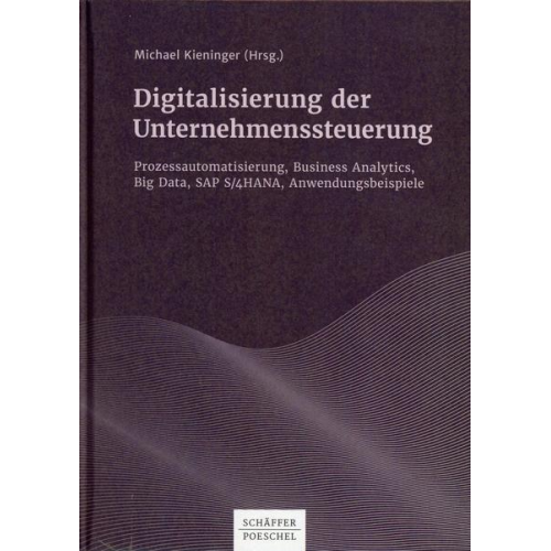 Michael Kieninger - Digitalisierung der Unternehmenssteuerung