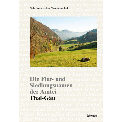 Die Flur- und Siedlungsnamen der Amtei