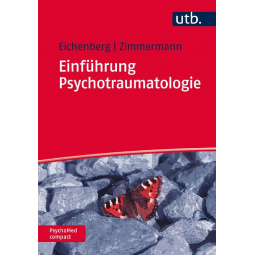 Christiane Eichenberg & Peter Zimmermann - Einführung Psychotraumatologie