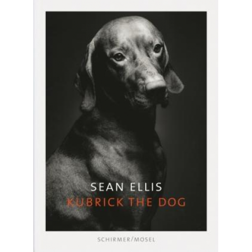 Sean Ellis - Kubrick - The Dog