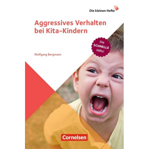 Wolfgang Bergmann - Aggressives Verhalten bei Kita-Kindern