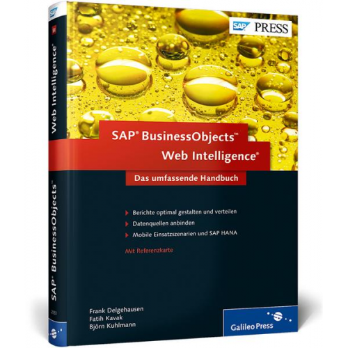 Frank Delgehausen & Fatih Kavak & Björn Kuhlmann - SAP BusinessObjects Web Intelligence