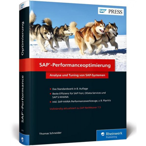 Thomas Schneider - SAP-Performanceoptimierung