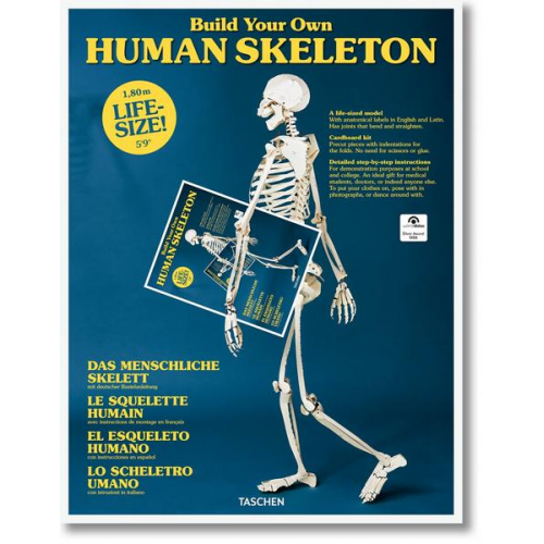 Build Your Own Human Skeleton – Life Size!