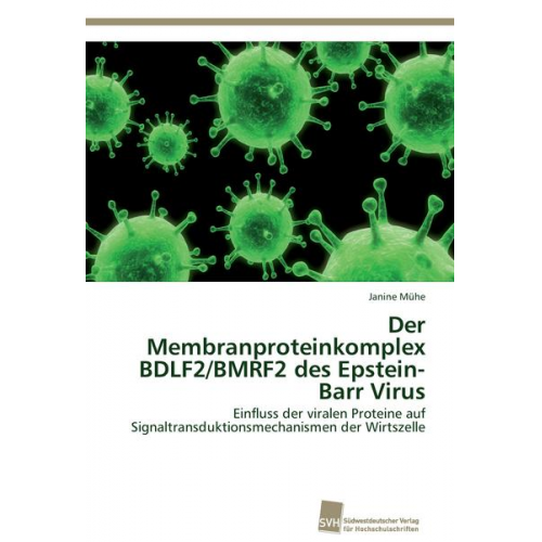 Janine Mühe - Der Membranproteinkomplex BDLF2/BMRF2 des Epstein-Barr Virus