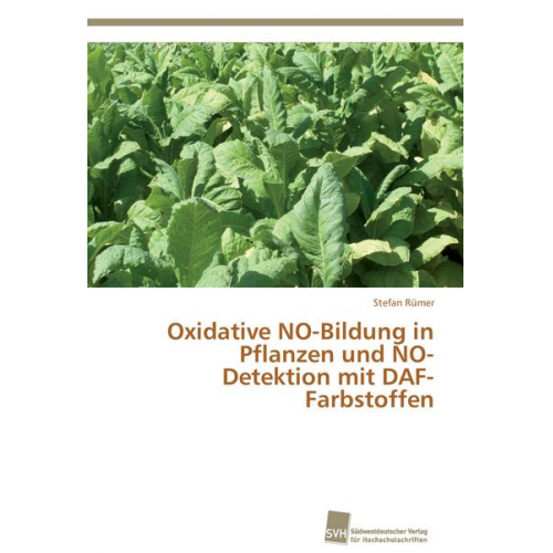 Stefan Rümer - Oxidative NO-Bildung in Pflanzen und NO-Detektion mit DAF-Farbstoffen