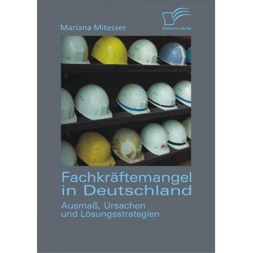 Mariana Mitesser - Fachkräftemangel in Deutschland: Ausmaß, Ursachen und Lösungsstrategien