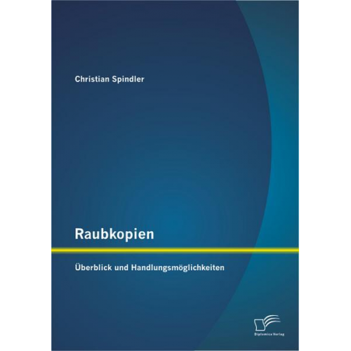 Christian Spindler - Raubkopien: Überblick und Handlungsmöglichkeiten