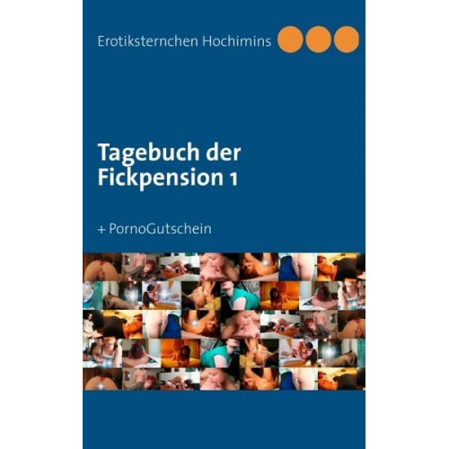 Erotiksternchen Hochimins - Tagebuch der Fickpension 1