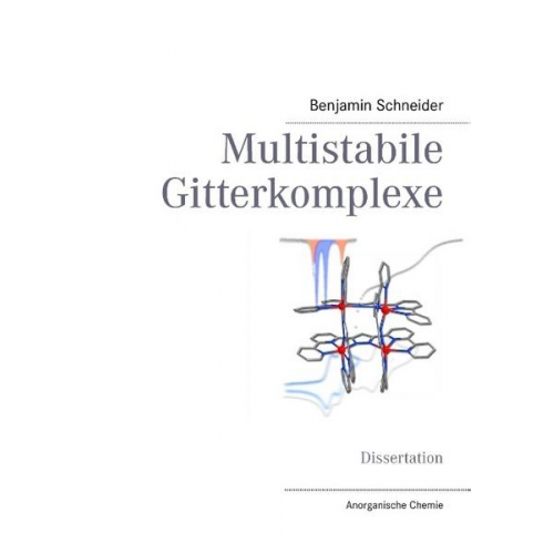 Benjamin Schneider - Multistabile Gitterkomplexe