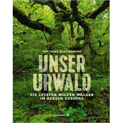 Matthias Schickhofer - Unser Urwald