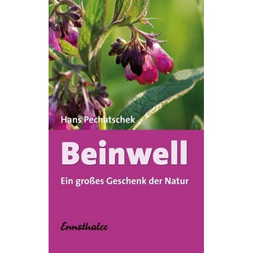 Hans Pechatschek - Beinwell