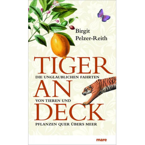 Birgit Pelzer-Reith - Tiger an Deck