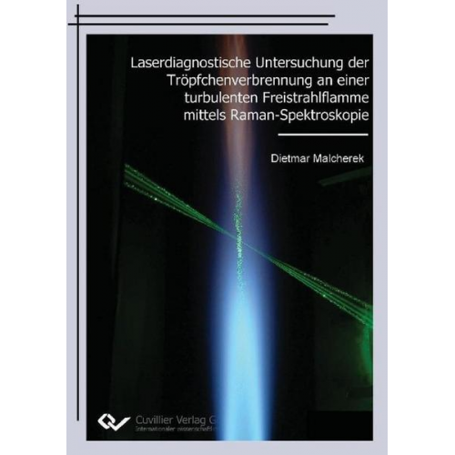 Dietmar Malcherek - Laserdiagnostische Untersuchung der Tröpfchenverbrennung an einer turbulenten Freistrahlflamme mittels Raman-Spektroskopie