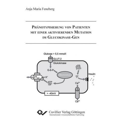 Anja Feneberg - Phänotypisierung von Patienten mit einer aktivierenden Mutation im Glucokinase-Gen