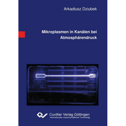 Arkadiusz Dziubek - Mikroplasmen in Kanälen bei Atmosphärendruck