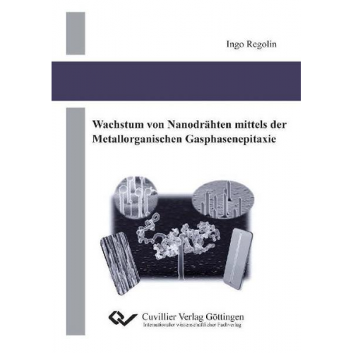 Ingo Regolin - Wachstum von Nanodrähten mittels der Metallorganischen Gasphasenepitaxie