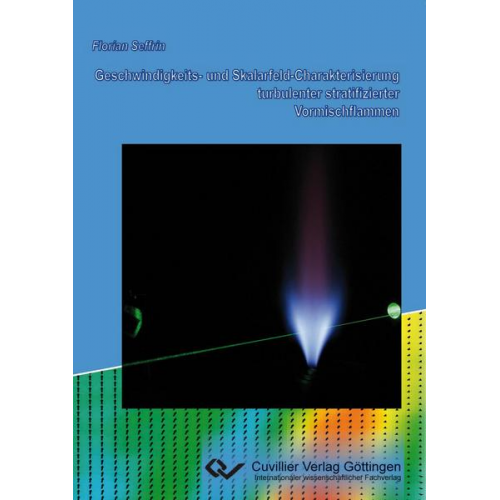 Florian Seffrin - Geschwindigkeits- und Skalarfeld-Charakterisierung turbulenter stratifizierter Vormischflammen