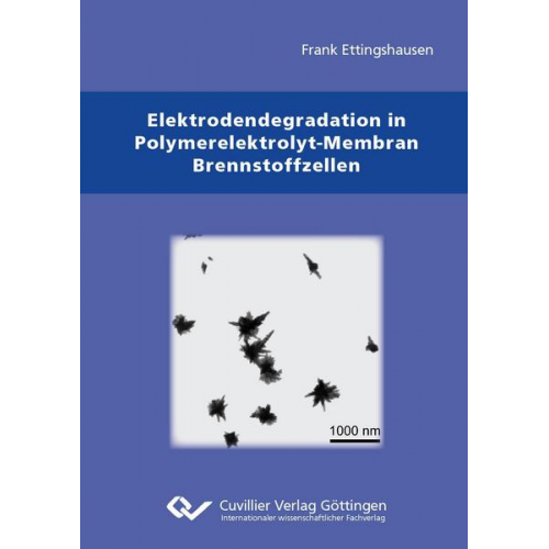 Frank Ettingshausen - Elektrodendegradation in Polymarelektrolyt-Membran Brennstoffzellen