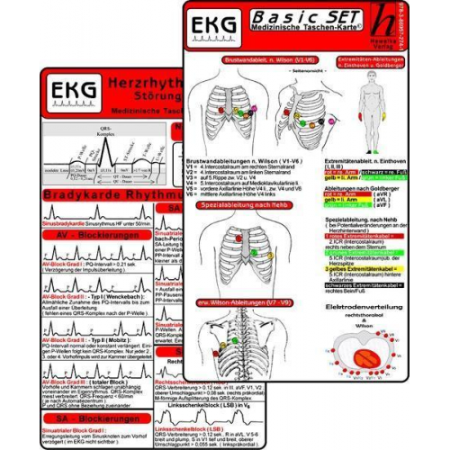 EKG Basic Set (2er Set) - Herzrhythmusstörungen, EKG Auswertung - Medizinische Taschen-Karte