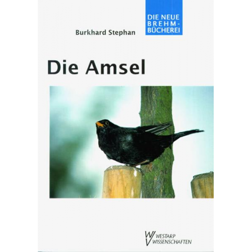 Burkhard Stephan - Die Amsel