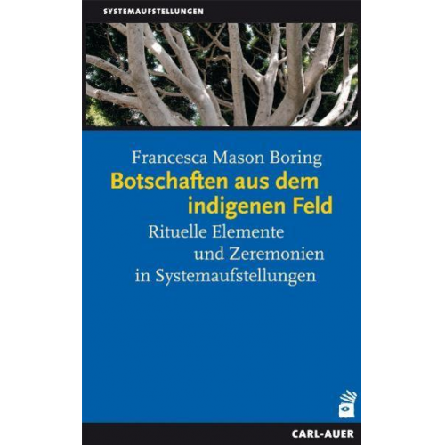 Francesca Mason Boring - Botschaften aus dem indigenen Feld