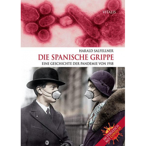 Harald Salfellner - Die Spanische Grippe