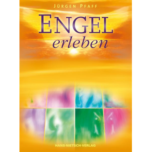 Jürgen Pfaff - Engel erleben