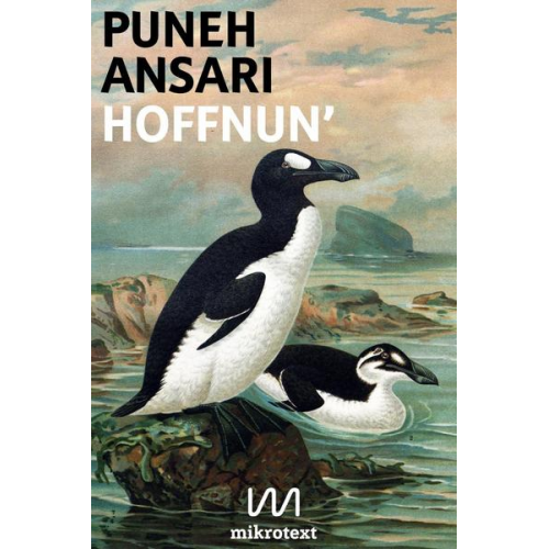 Puneh Ansari - Hoffnun