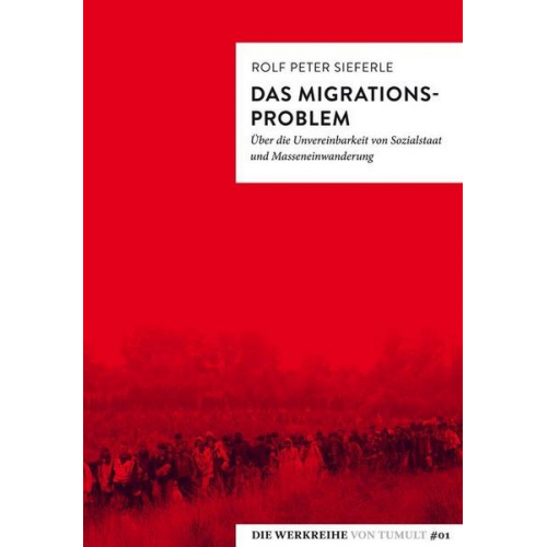 Rolf Peter Sieferle - Das Migrationsproblem