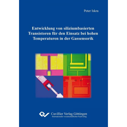 Peter Iskra - Entwicklung von siliziumbasierten Transistoren für den Einsatz bei hohen Temperaturen in der Gassensorik