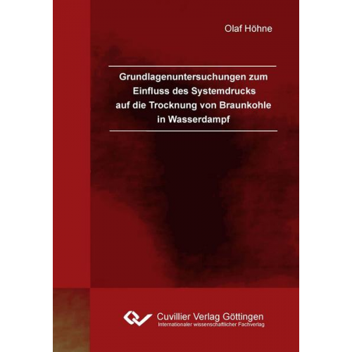 Olaf Höhne - Grundlagenuntersuchungen zum Einfluss des Systemdrucks auf die Trocknung von Braunkohle in Wasserdampf