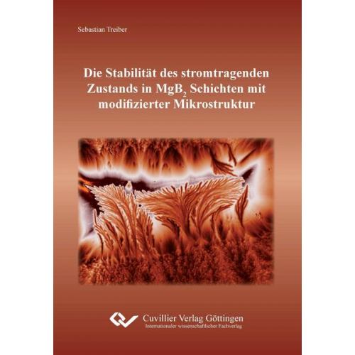 Sebastian Treiber - Die Stabilität des stromtragenden Zustands in MgB2 Schichten mit modifizierter Mikrostruktur