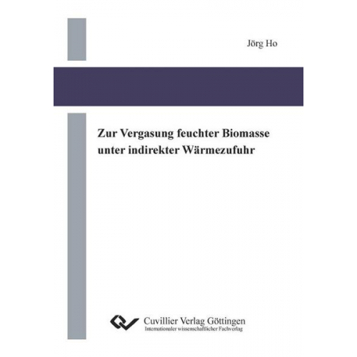 Jörg Ho - Zur Vergasung feuchter Biomasse unter indirekter Wärmezufuhr