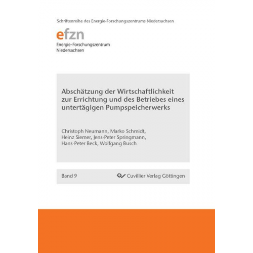 Christoph Neumann & Marko Schmidt & Heinz Siemer & Jens-Peter Springmann & Hans-Peter Beck - Abschätzung der Wirtschaftlichkeit zur Errichtung und des Betriebes eines untertägigen Pumpspeicherwerks