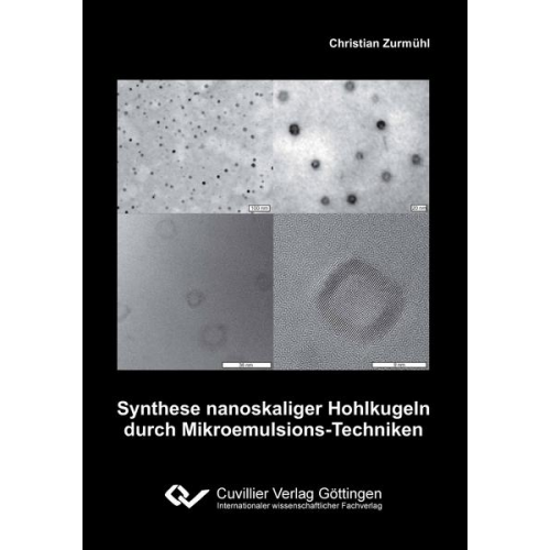 Christian Zurmühl - Synthese nanoskaliger Hohlkugeln durch Mikroemulsions-Techniken