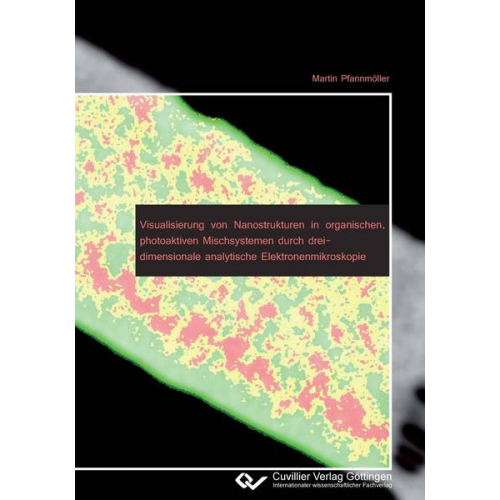 Martin Pfannmöller - Visualisierung von Nanostrukturen in organischen, photoaktiven Mischsystemen durch dreidimensionale analytische Elektronenmikroskopie