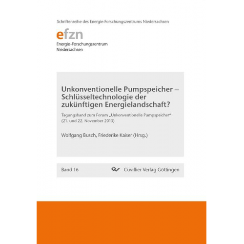 Friederike Kaiser - Unkonventionelle Pumpspeicher – Schlüsseltechnologie der zukünftigen Energielandschaft?