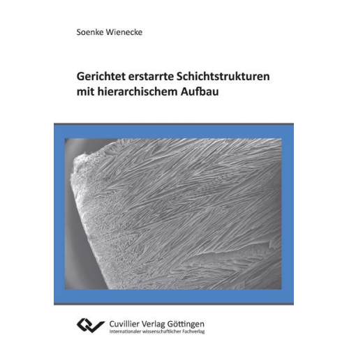 Soenke Wienecke - Gerichtet erstarrte Schichtstrukturen mit hierarchischem Aufbau