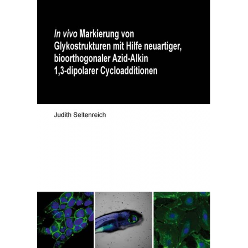 Judith Seltenreich - In vivo Markierung von Glykostrukturen mit Hilfe neuartiger, bioorthogonaler Azid-Alkin 1,3-dipolarer Cycloadditionen