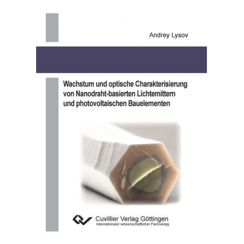 Andrey Lysov - Wachstum und optische Charakterisierung von Nanodraht–basierten Lichtemittern und photovoltaischen Bauelementen