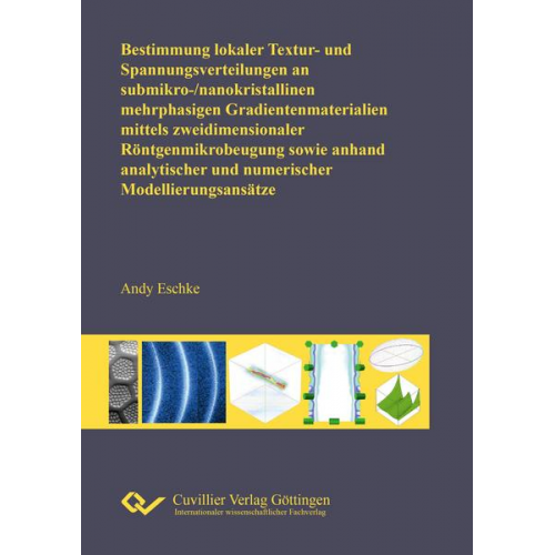 Andy Eschke - Bestimmung lokaler Textur- und Spannungsverteilungen an submikro-/nanokristallinen mehrphasigen Gradientenmaterialien mittels zweidimensionaler Röntge