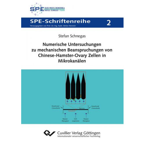 Stefan Schnegas - Numerische Untersuchungen zu mechanischen Beanspruchungen von Chinese-Hamster-Ovary Zellen in Mikrokanälen