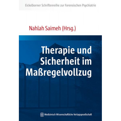 Therapie und Sicherheit im Maßregelvollzug