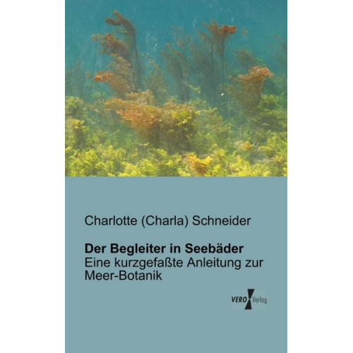 Charlotte Schneider - Der Begleiter in Seebäder